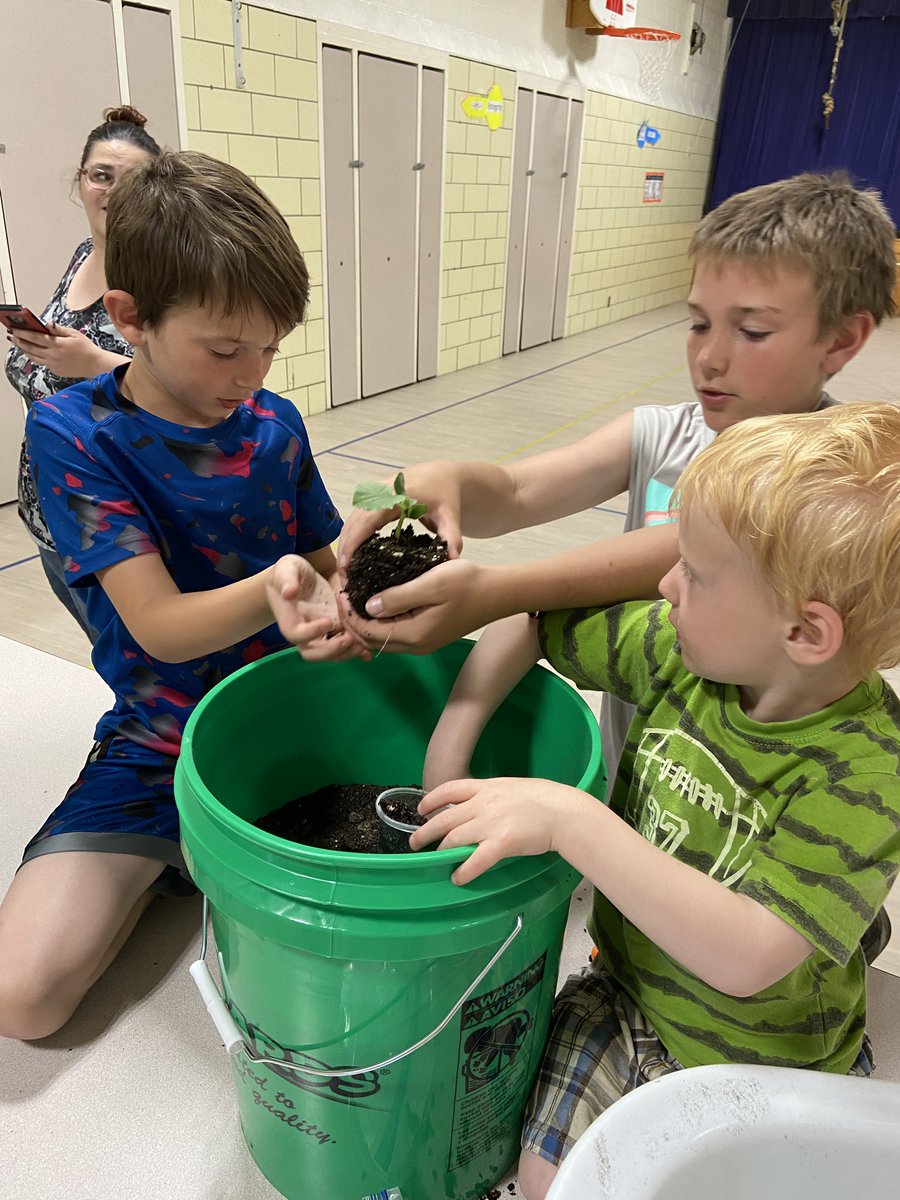 BAufdenk's tweet photo. Gardening in a bucket off and growing in North Platte https://t.co/18jHwgxdOo