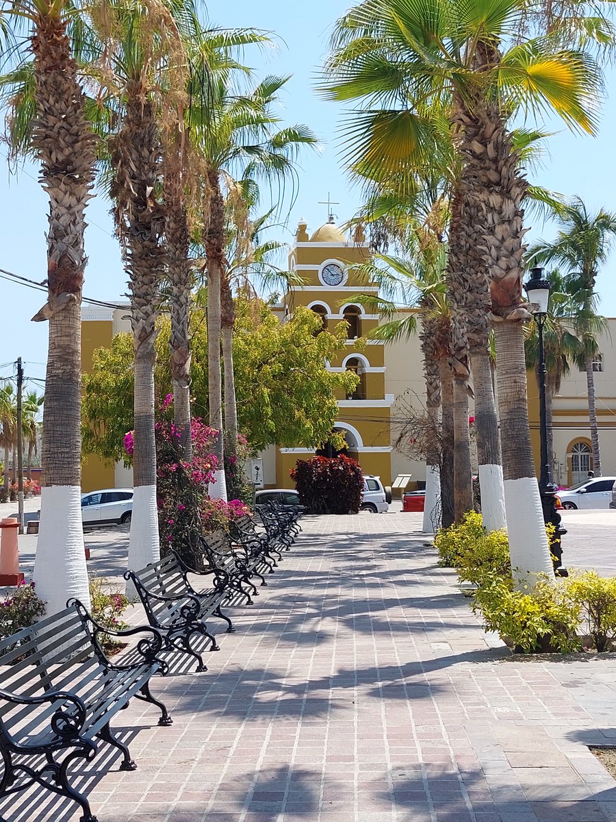 CoconutFloating's tweet photo. Living in Mexico, and exploring the country, I have been here almost 4 years now, and with nearly 24.000KM on the dial, still haven't seen all.
*Photo: Todos Santos, Baja California Sur, Mexico
#LivinginMexico
#Expatlife
#ExploringMexico https://t.co/v2JyWOgpDa