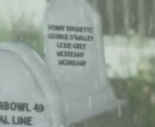 kate schwass tweet media