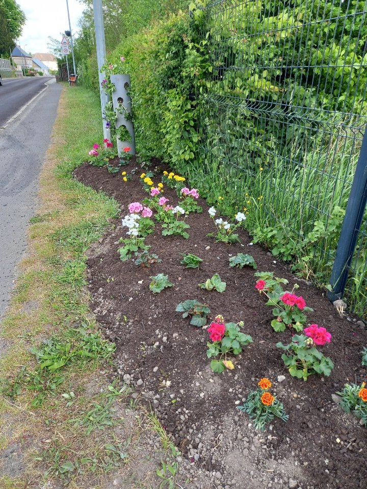 TomaHermand's tweet photo. Ça encore bien bougé à #Serqueux cette semaine :
GT sur la mobilité avec le Pays de Bray afin d'améliorer la mobilité concrètement.
Des trvx de voirie pour la sécurité et le confort.
Nos svces ont avancé dans le projet des terrains de pétanque&le fleurissement.
#mairedeserqueux https://t.co/HATKf38cir