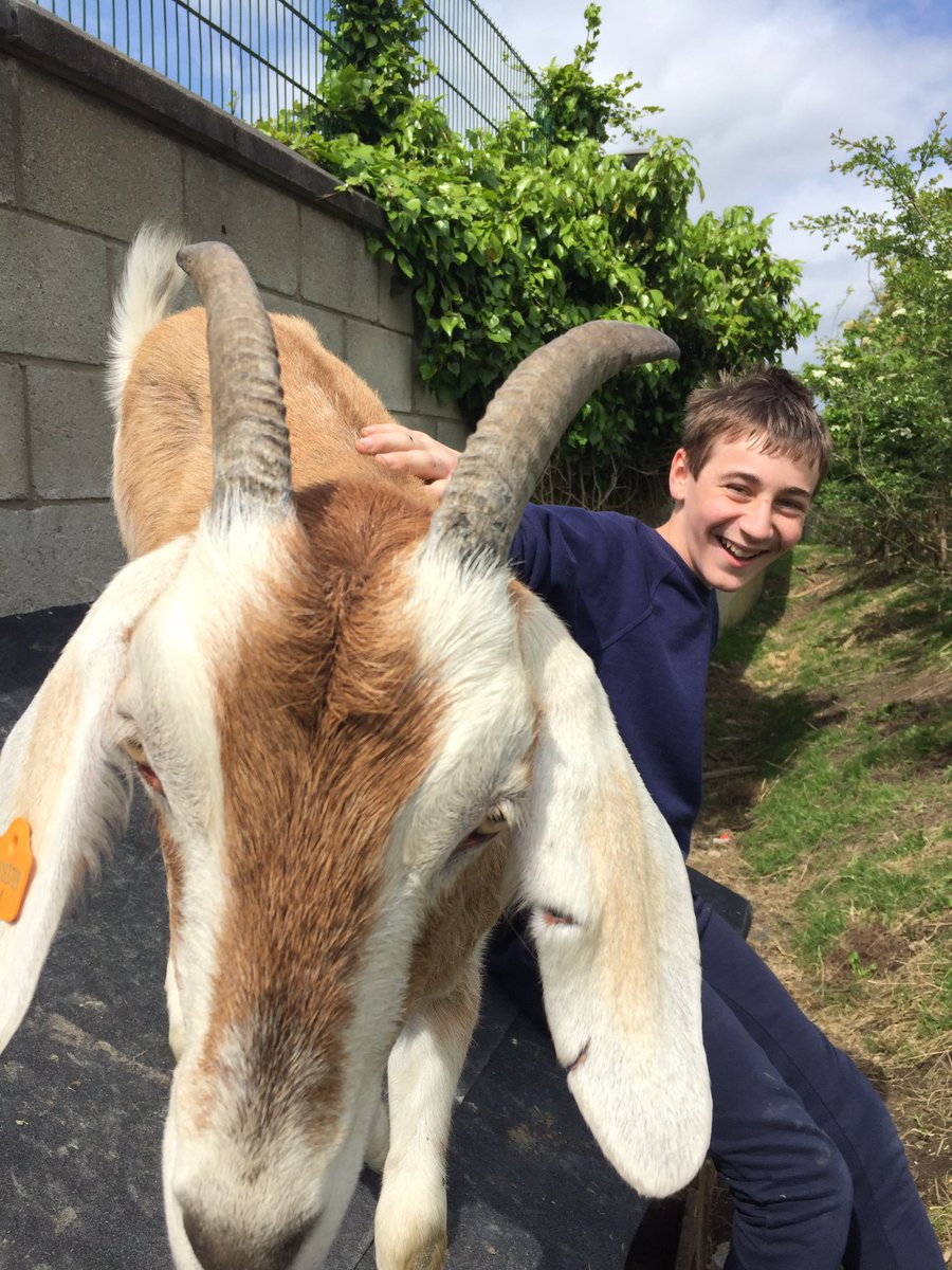 Livvi_Fay's tweet photo. Just a boy and his goat 🐐- these two have a great bond. #schoolfarm #farmlife #LPTF @LeverParkSchool @bolton_pru https://t.co/uEU2get3QM