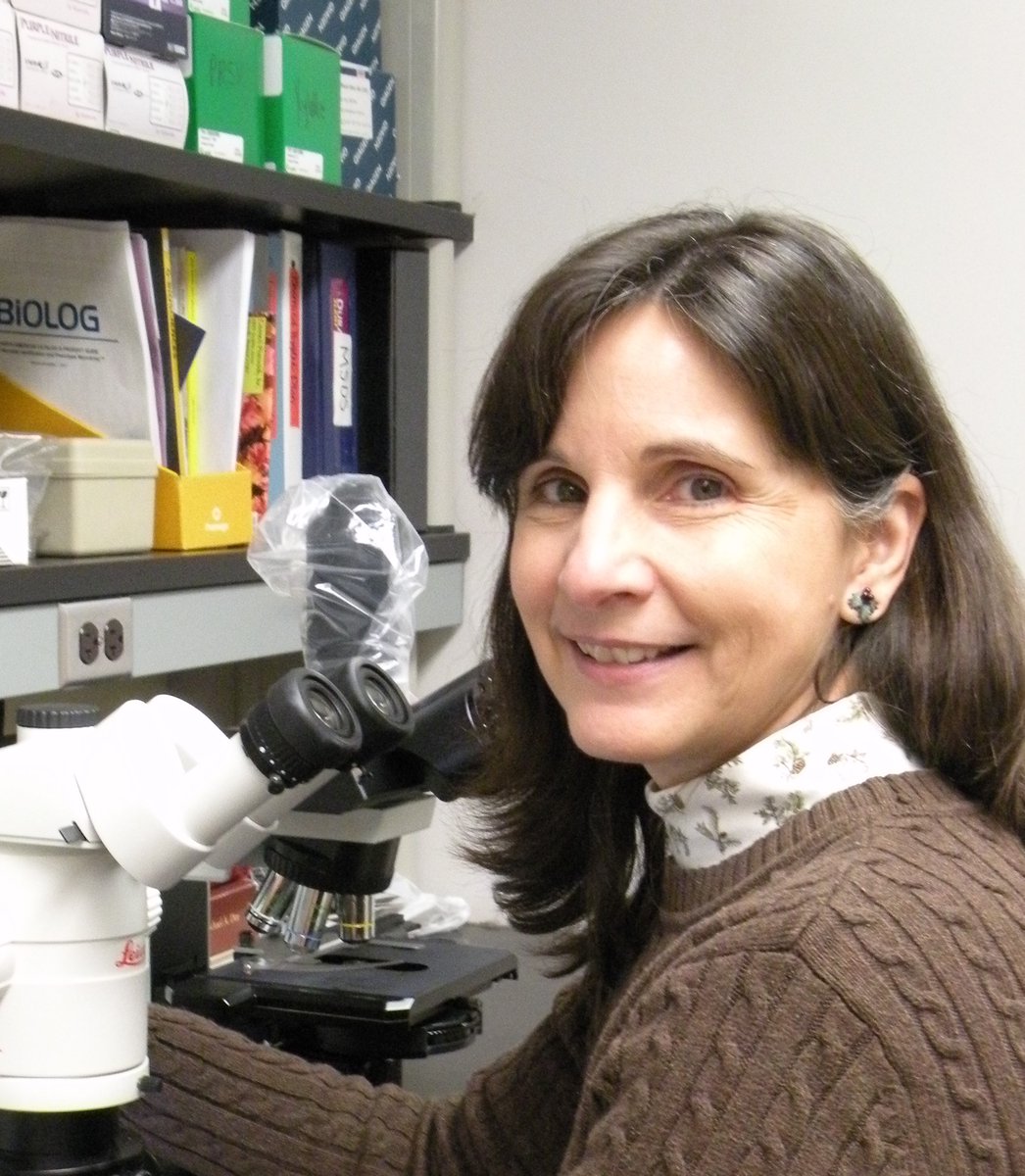 🏆🔬🌳🎉Congrats to Dr. Karen Rane, Director of <a href="/UofMaryland/">Univ. of Maryland</a> Plant Diagnostic Lab, for being named recipient of the <a href="/USDA_NIFA/">NIFA</a> National Plant Diagnostic Network’s Lifetime Achievement Award. 
nifa.usda.gov/about-nifa/blo…