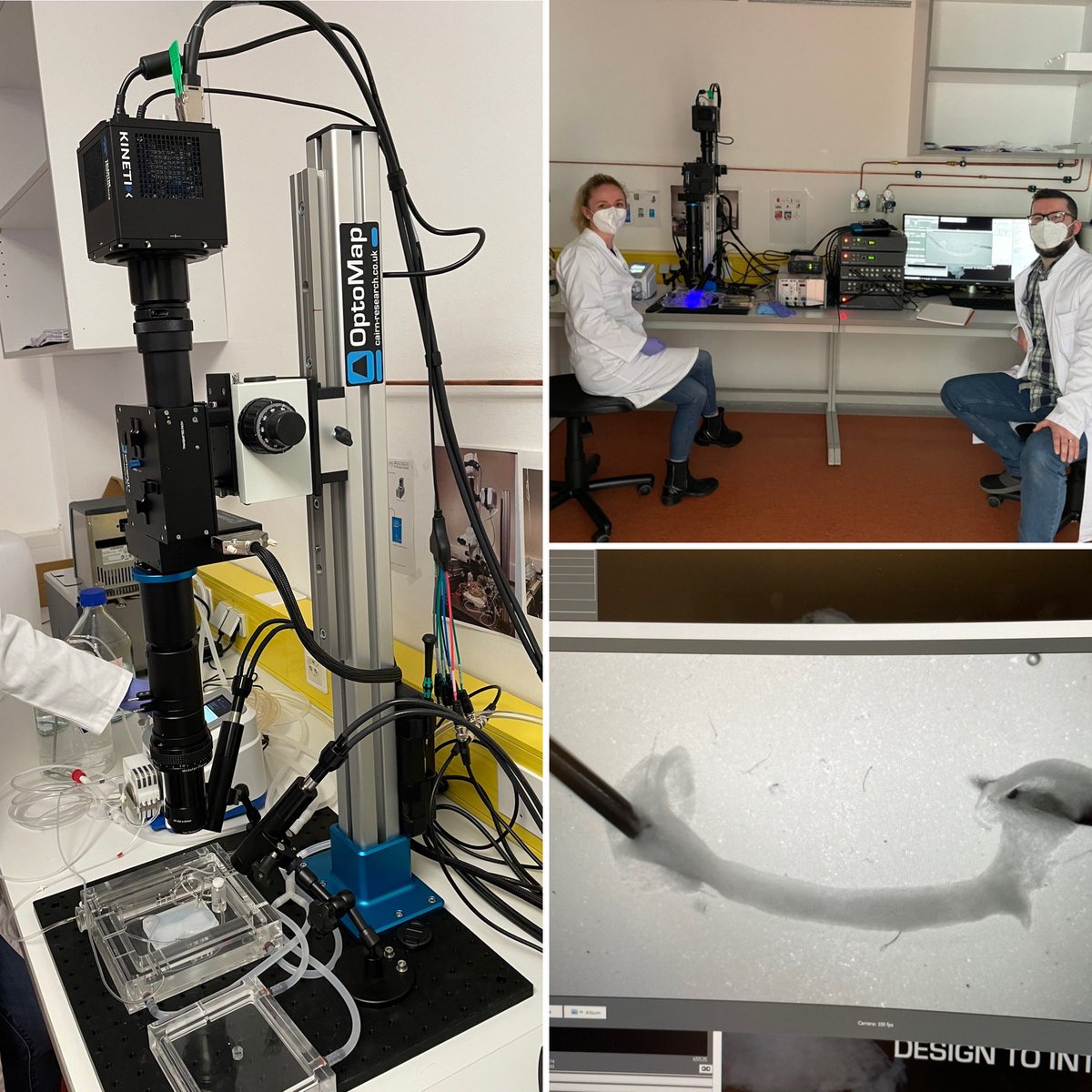 Andrew Allan (@andrewallan9) on Twitter photo Another week, another install. This week at <a href="/UCCS_HH/">University Center of Cardiovascular Science (UCCS)</a> installing our OptoMap system for high speed simultaneous voltage and calcium imaging using the <a href="/Cairn_Research/">Cairn Research</a> Optosplit II and <a href="/Photometrics/">Teledyne Photometrics</a> Kinetix. Another week, another install. This week at <a href="/UCCS_HH/">University Center of Cardiovascular Science (UCCS)</a> installing our OptoMap system for high speed simultaneous voltage and calcium imaging using the <a href="/Cairn_Research/">Cairn Research</a> Optosplit II and <a href="/Photometrics/">Teledyne Photometrics</a> Kinetix.