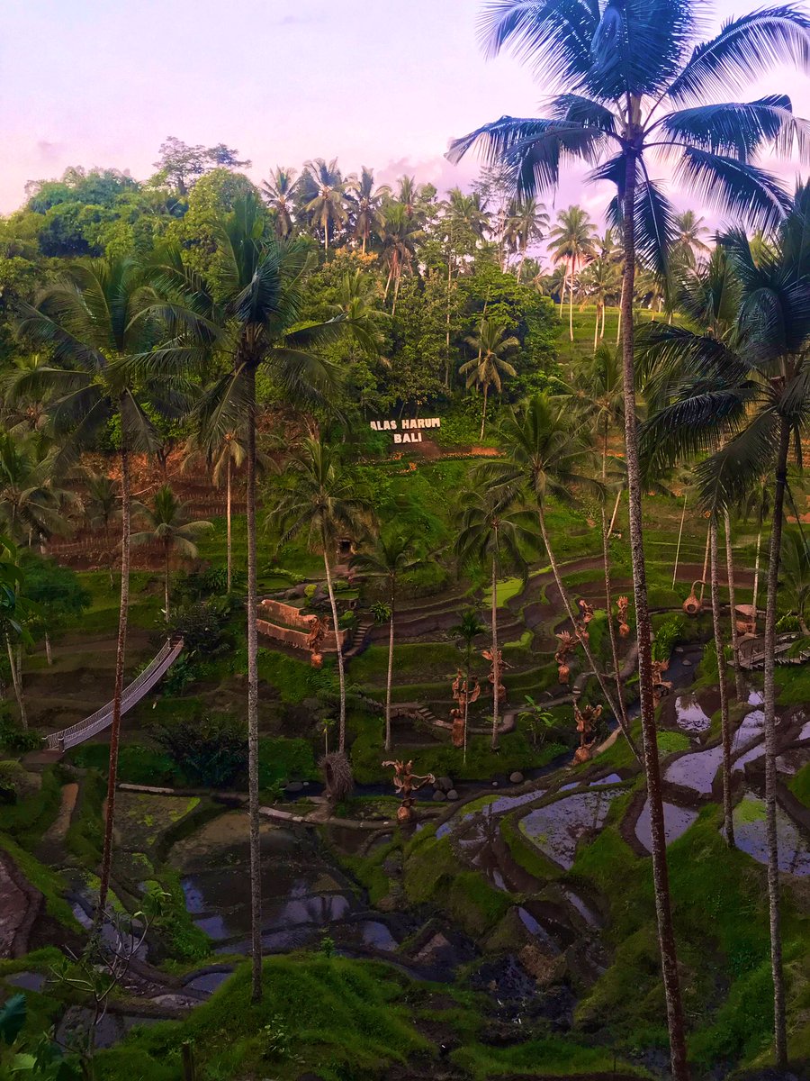 GolfEcho7's tweet photo. Bali, Indonesia 🇮🇩 https://t.co/S2vJ8U3Q74