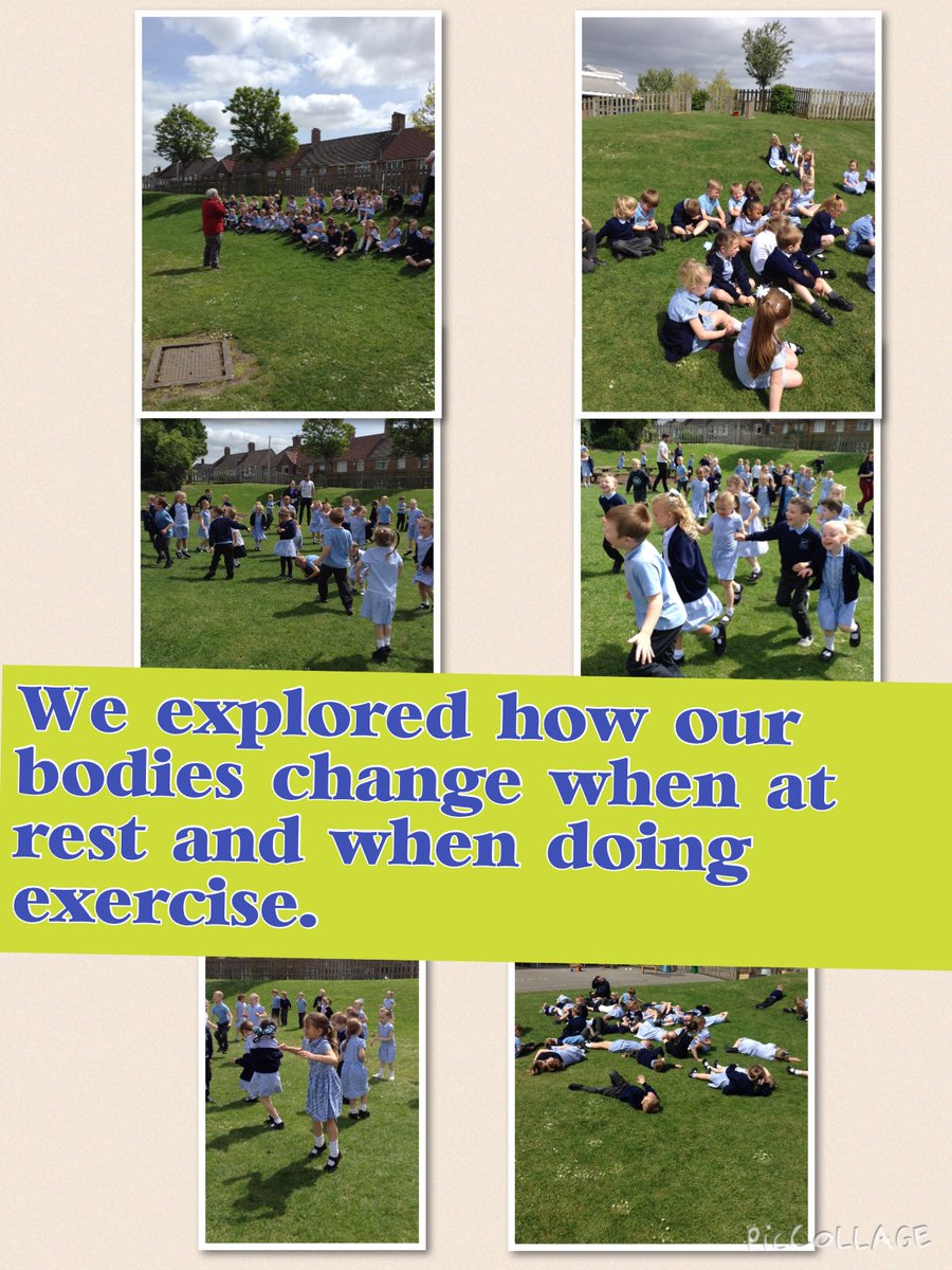 Stockton Wood Advancing Readers tweet media