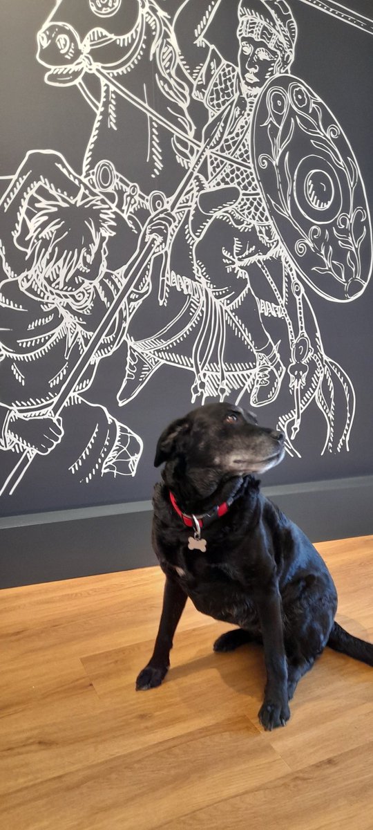TrimontiumTrust's tweet photo. #NewsFromTheFrontier...Scooby is so excited to visit #Trimontium Museum he can't sit still... ๐โ๐ฆบ๐
#goodboy #walkies #12/10 for historical knowledge...๐๐๐ด๓ ง๓ ข๓ ณ๓ ฃ๓ ด๓ ฟ
#DogsInMuseums
@dog_rates @DogsTrust @ChrisGPackham @VisitScotland @NtlMuseumsScot @LiveBordersMGA https://t.co/RsBQXnjarH