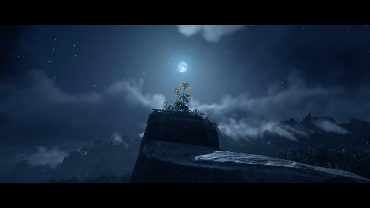 ttopkoko's tweet photo. #GhostOfTsushima  #PS5Share, #GhostofTsushima https://t.co/a39l2YczAi