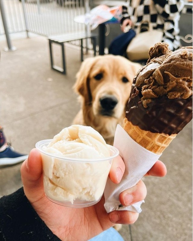Clover on Twitter "Meet Walrus Ice Cream — an ice cream store nestled