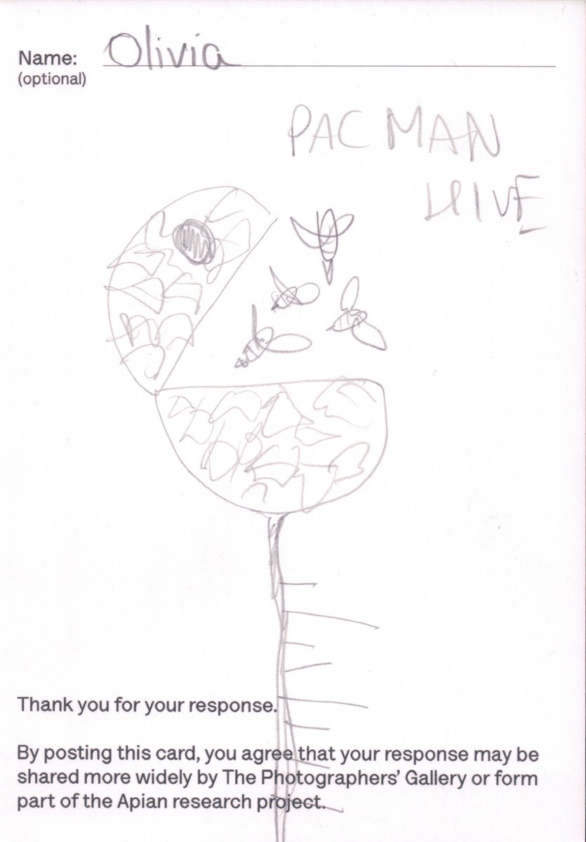 TPGallery's tweet photo. We asked members of the public to draw beehives that would make good homes for bees based on our #Apian exhibition and you have not disappointed!
Presenting... some of your bee-friendly creations https://t.co/h6rUyJcRCf