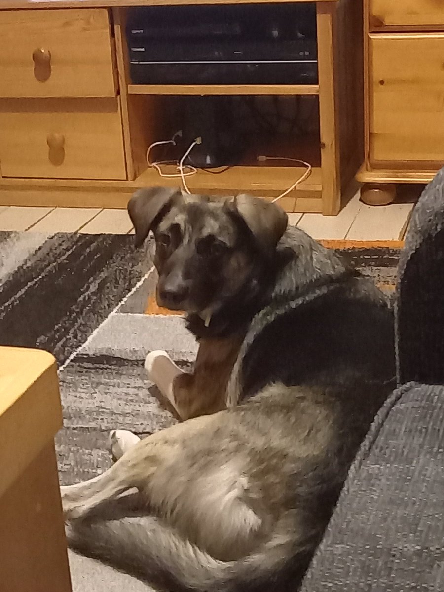 Eileen Chubb tweet media