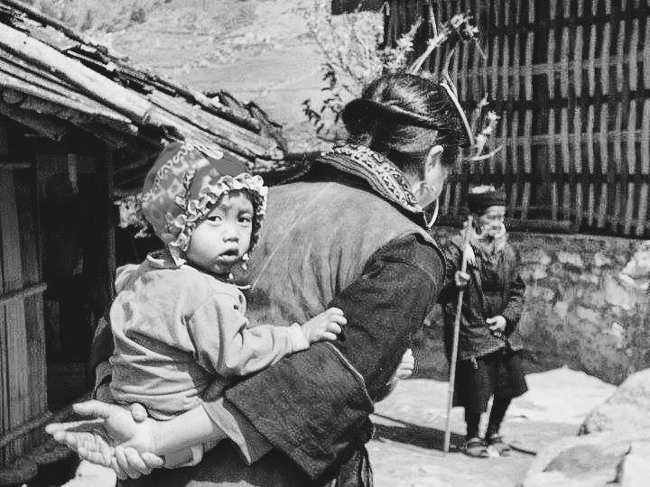 Rachel Suzanne Tien Wood tweet media