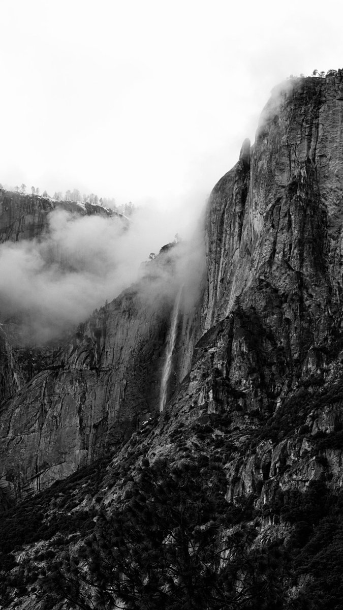 Rachel Suzanne Tien Wood tweet media