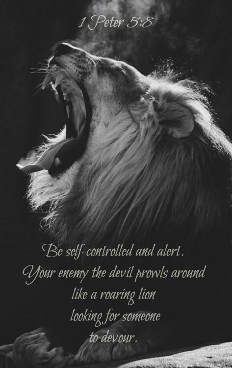 RubiArora6's tweet image. #tigeresslovers #selfcontrolled #enemy #devil #prowls #roaring #lions