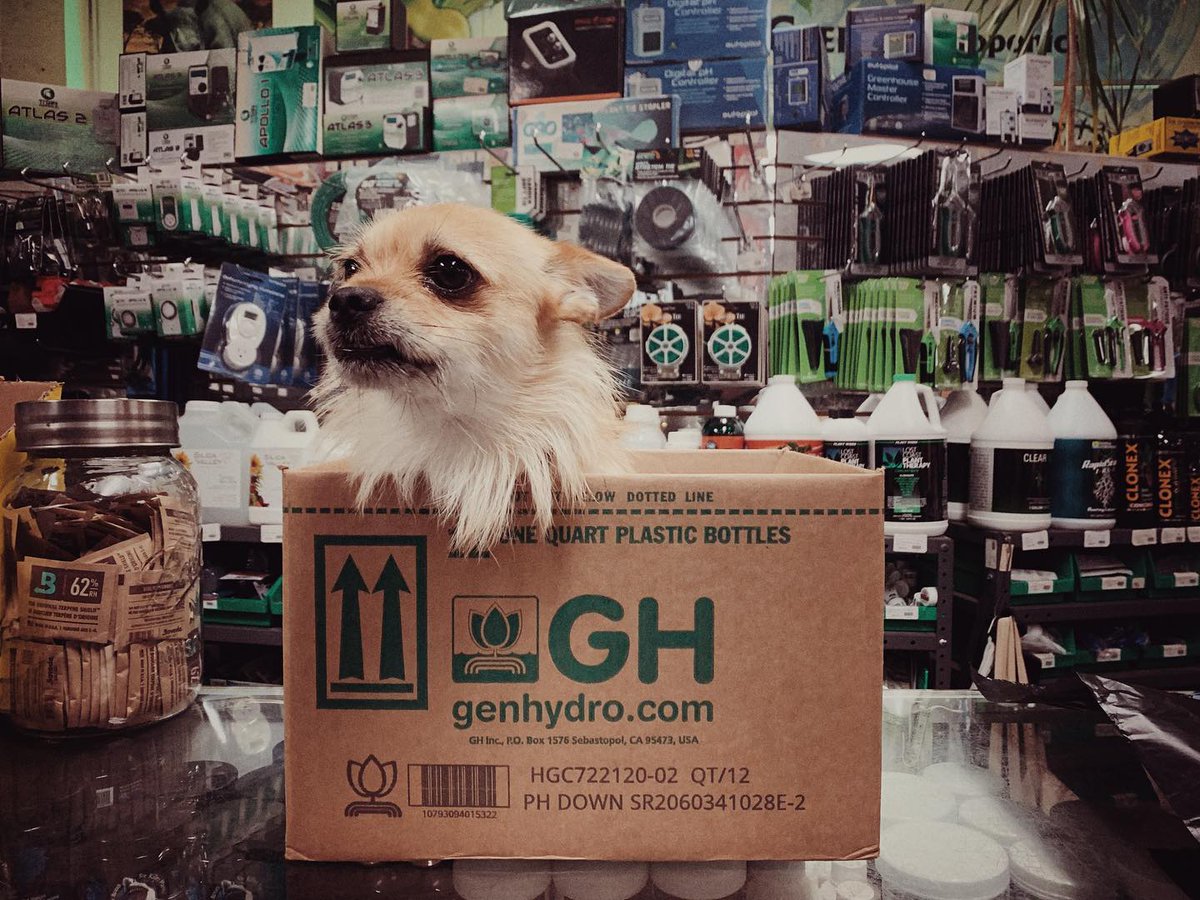 General Hydroponics tweet media