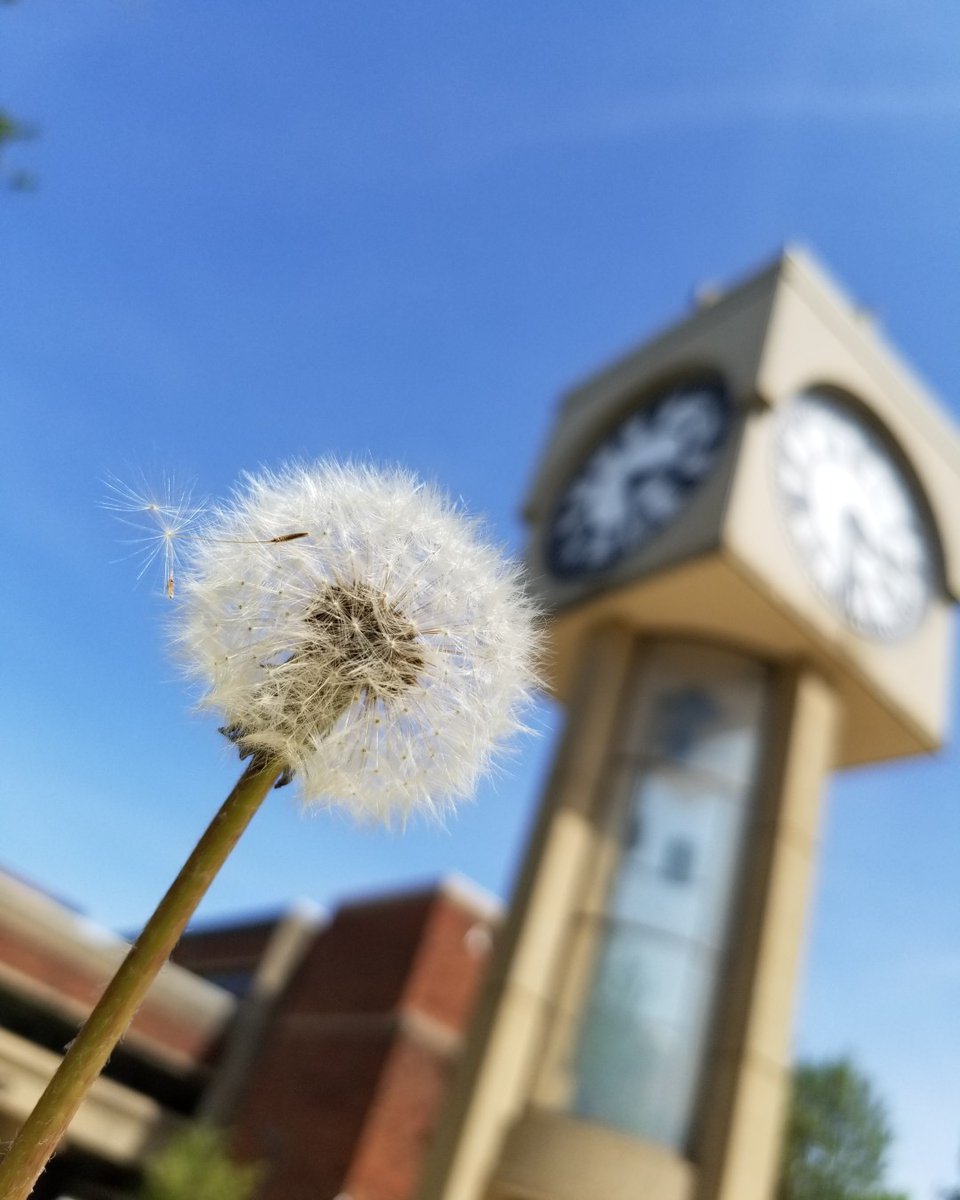 LCCBookstore's tweet photo. It’s almost time for commencement! We hope you grads are excited and we wish you all the brightest of futures!

#graduation #commencement #collegelife #collegegraduation #collegebookstore #lccbookstore #lakelandcc https://t.co/h7ZxG0rbBq