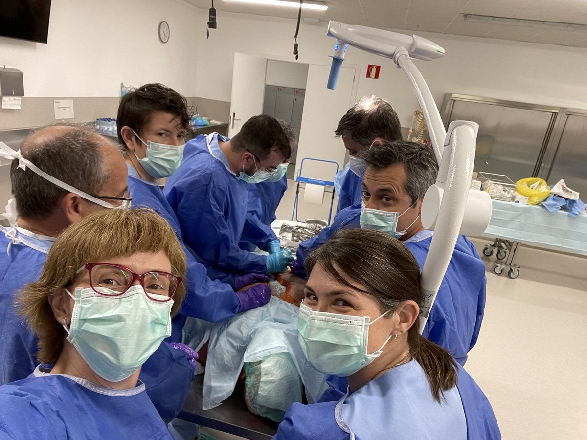 Cirurgia Althaia 🏥 (@cirurgiaalthaia) on Twitter photo Otro gran día en sala de dissección <a href="/u_medicina/">Facultat de Medicina UVic-UCC</a> con <a href="/LaiaNogue/">Laia Nogué Navarro</a> y la inestimable ayuda de #josemanuelaranda <a href="/StcuaeC/">AECUrg</a>
Anatomía quirúrgica cervical, toracica, abdominal en el paciente traumático y de pared abdominal <a href="/rafagdiazgobbo/">Rafael Díaz Del Gobbo</a>
<a href="/ColleraPablo/">Pablo Collera</a> <a href="/cjGomez22/">Carlos Gómez</a> <a href="/RFarr15/">R. Farré</a> Otro gran día en sala de dissección <a href="/u_medicina/">Facultat de Medicina UVic-UCC</a> con <a href="/LaiaNogue/">Laia Nogué Navarro</a> y la inestimable ayuda de #josemanuelaranda <a href="/StcuaeC/">AECUrg</a>
Anatomía quirúrgica cervical, toracica, abdominal en el paciente traumático y de pared abdominal <a href="/rafagdiazgobbo/">Rafael Díaz Del Gobbo</a>
<a href="/ColleraPablo/">Pablo Collera</a> <a href="/cjGomez22/">Carlos Gómez</a> <a href="/RFarr15/">R. Farré</a>