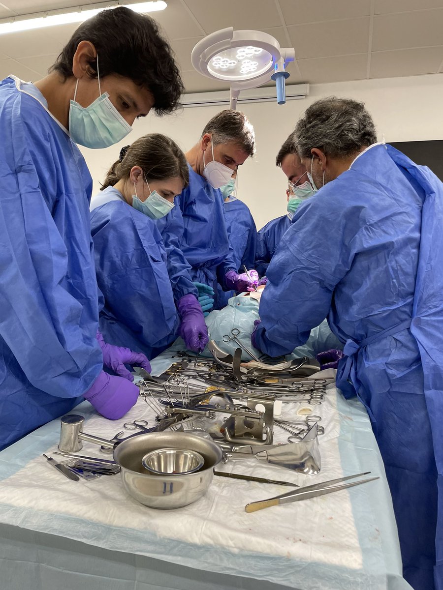 Cirurgia Althaia 🏥 tweet media