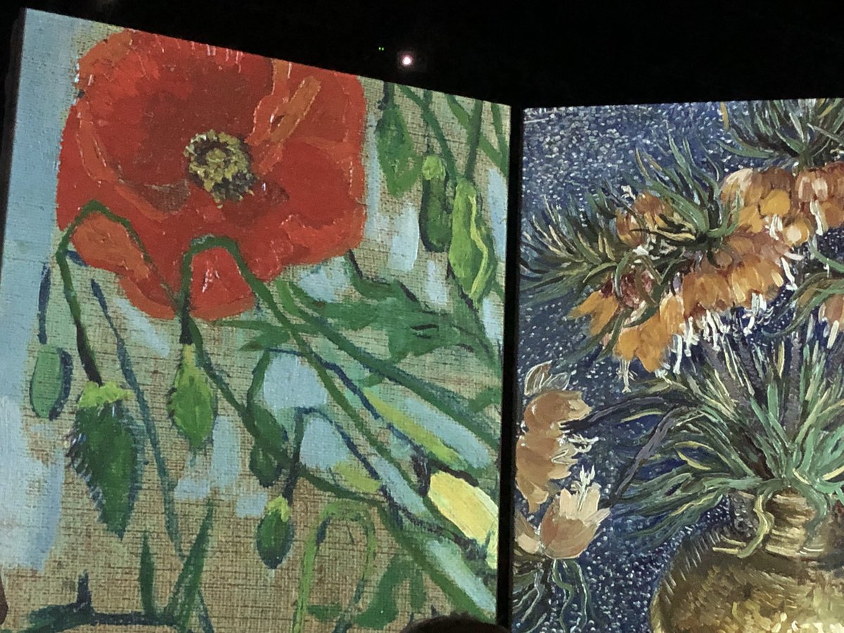 alkkendal's tweet photo. I can highly recommend the Van Gogh Alive exhibition in Edinburgh - worth a visit! https://t.co/ang2gX9Uov
