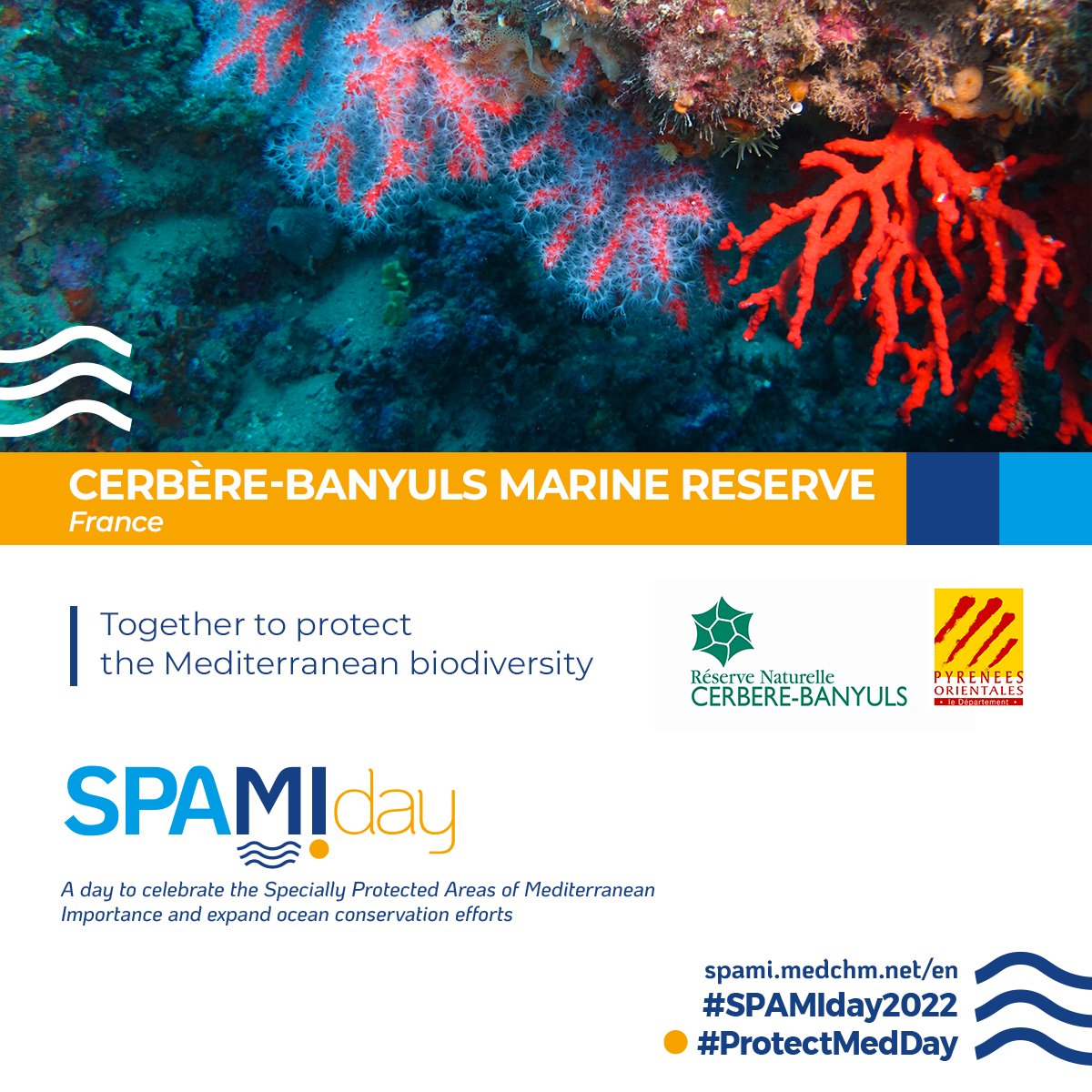 SPAMI Day celebration is also about good news!
In the Cerbère-Banyuls Marine Reserve, a process has been launched to extend the perimeter of the SPAMI. 
Know more: bit.ly/37HWE1D
#SPAMIday2022 #ProtectMedDay #BarcelonaConvention