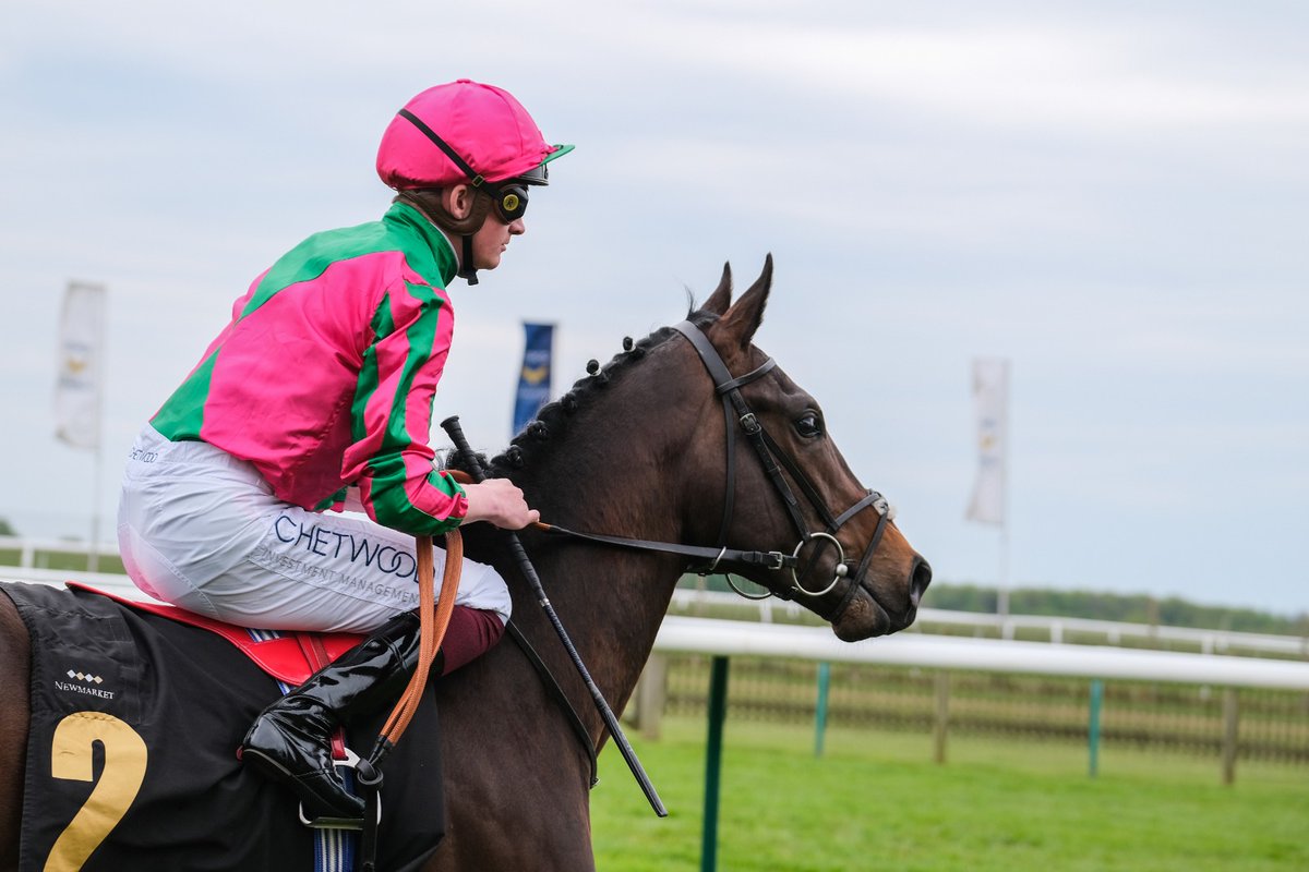 MyRacehorseUK's tweet image. 📸 𝐒𝐲𝐧𝐝𝐢𝐜𝐚𝐭𝐞𝐝 looking magnificent on his debut at Newmarket Rowley Mile Racecourse on Guineas weekend for trainer Andrew Balding and jockey Rob Hornby 🏇

#Syndicated #AndrewBalding #MyRacehorseUk #Horseracing #Racehorse #Thoroughbred #Newmarket