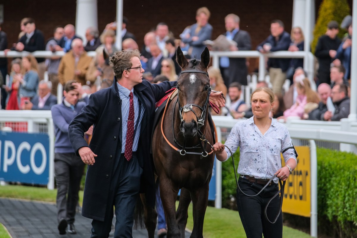 MyRacehorseUK's tweet image. 📸 𝐒𝐲𝐧𝐝𝐢𝐜𝐚𝐭𝐞𝐝 looking magnificent on his debut at Newmarket Rowley Mile Racecourse on Guineas weekend for trainer Andrew Balding and jockey Rob Hornby 🏇

#Syndicated #AndrewBalding #MyRacehorseUk #Horseracing #Racehorse #Thoroughbred #Newmarket
