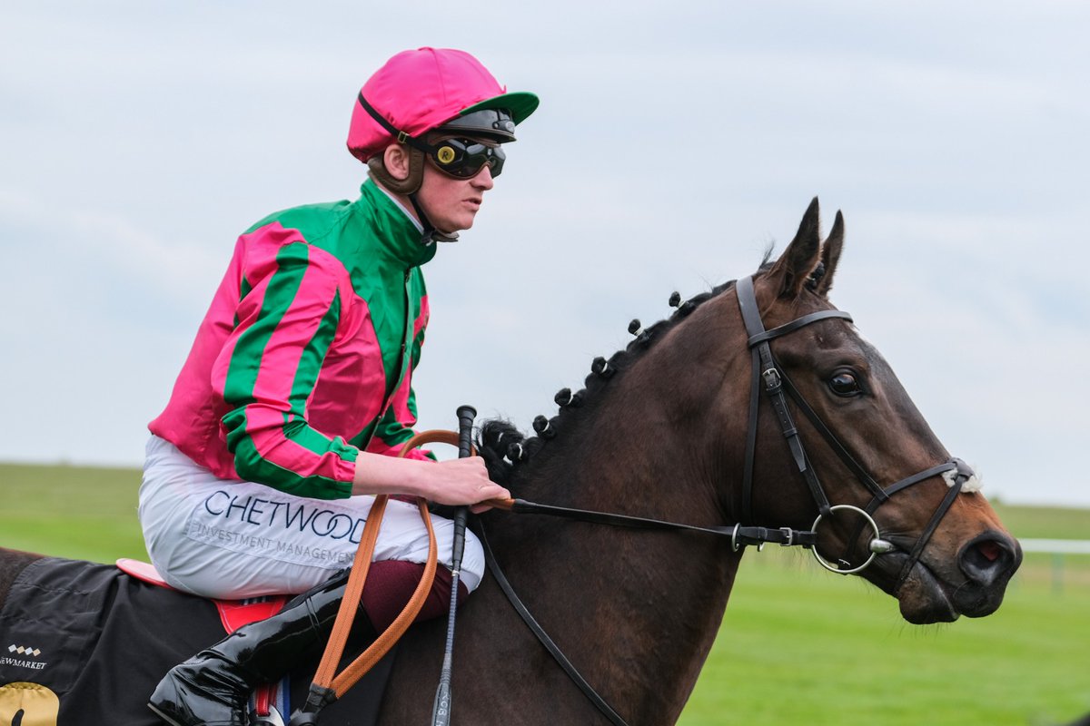 MyRacehorseUK's tweet image. 📸 𝐒𝐲𝐧𝐝𝐢𝐜𝐚𝐭𝐞𝐝 looking magnificent on his debut at Newmarket Rowley Mile Racecourse on Guineas weekend for trainer Andrew Balding and jockey Rob Hornby 🏇

#Syndicated #AndrewBalding #MyRacehorseUk #Horseracing #Racehorse #Thoroughbred #Newmarket
