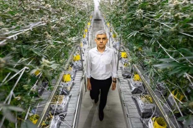 TheFreds's tweet photo. I can see the dope, where are the drugs? https://t.co/Mvr5U28T7H