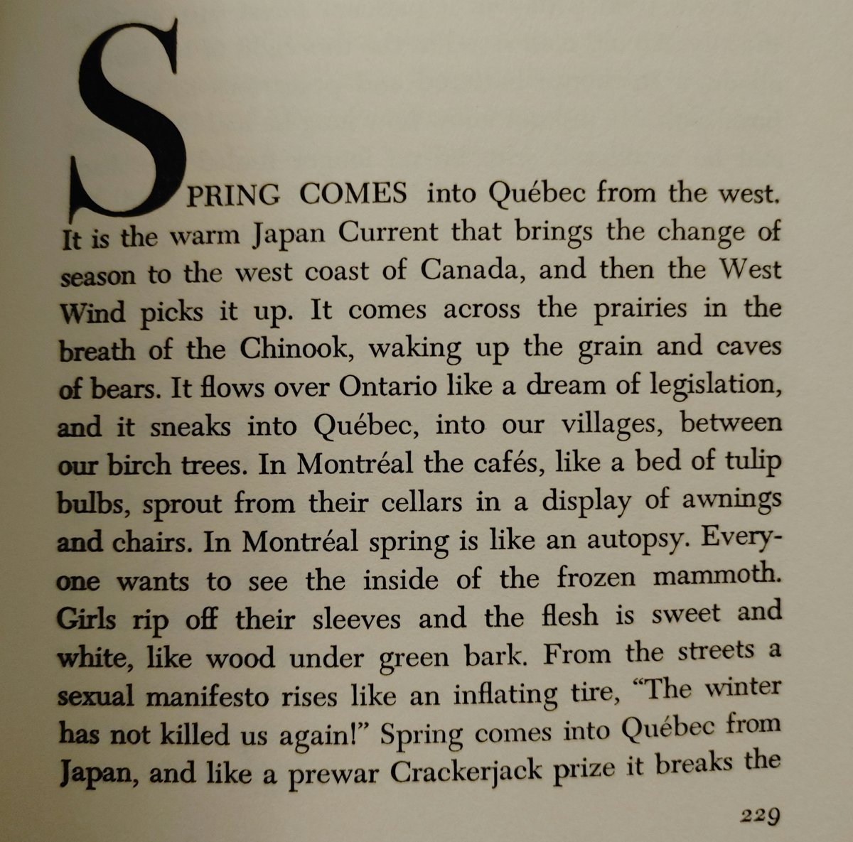WD_Clarke's tweet photo. 28C/82F  ...So much for spring. 
Here's Leonard Cohen on its evanescence in these parts:
(Beautiful Losers, 1966) [1/2] https://t.co/yFmESxH2Gx