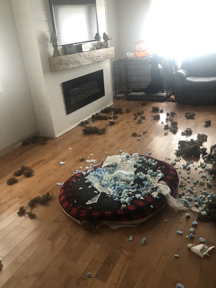 CateDenomme's tweet photo. @barstoolsports @icanteven Yep, been there!!  I left the room for possibly 10 minutes.  @Rake93 https://t.co/mvScr3Vr9n