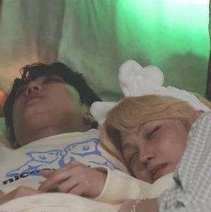 changlix as cats — a thread 💛