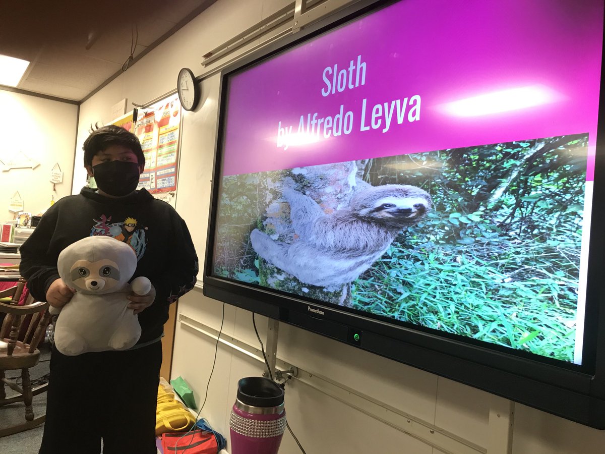 PaigeCharlis's tweet photo. Science Power Point on Structures and Functions, inherited Traits, life cycle and food chain on the studentβs stuffed animals. I am proud of them. #ErmelElementary https://t.co/TH98tMsFkx