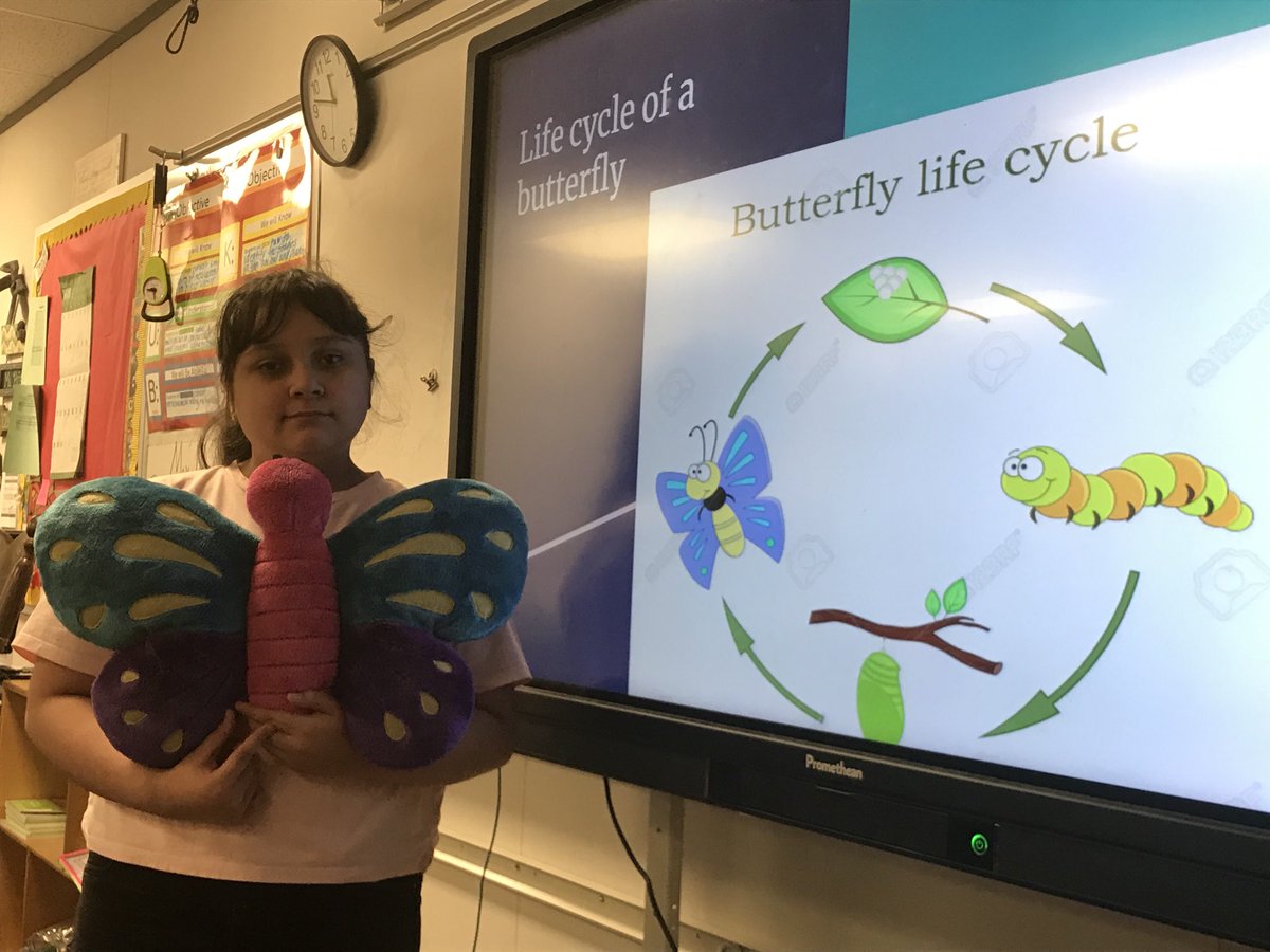 PaigeCharlis's tweet photo. Science Power Point on Structures and Functions, inherited Traits, life cycle and food chain on the studentβs stuffed animals. I am proud of them. #ErmelElementary https://t.co/TH98tMsFkx