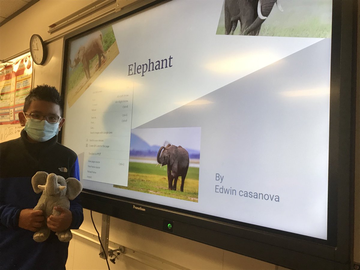 PaigeCharlis's tweet photo. Science Power Point on Structures and Functions, inherited Traits, life cycle and food chain on the studentβs stuffed animals. I am proud of them. #ErmelElementary https://t.co/TH98tMsFkx