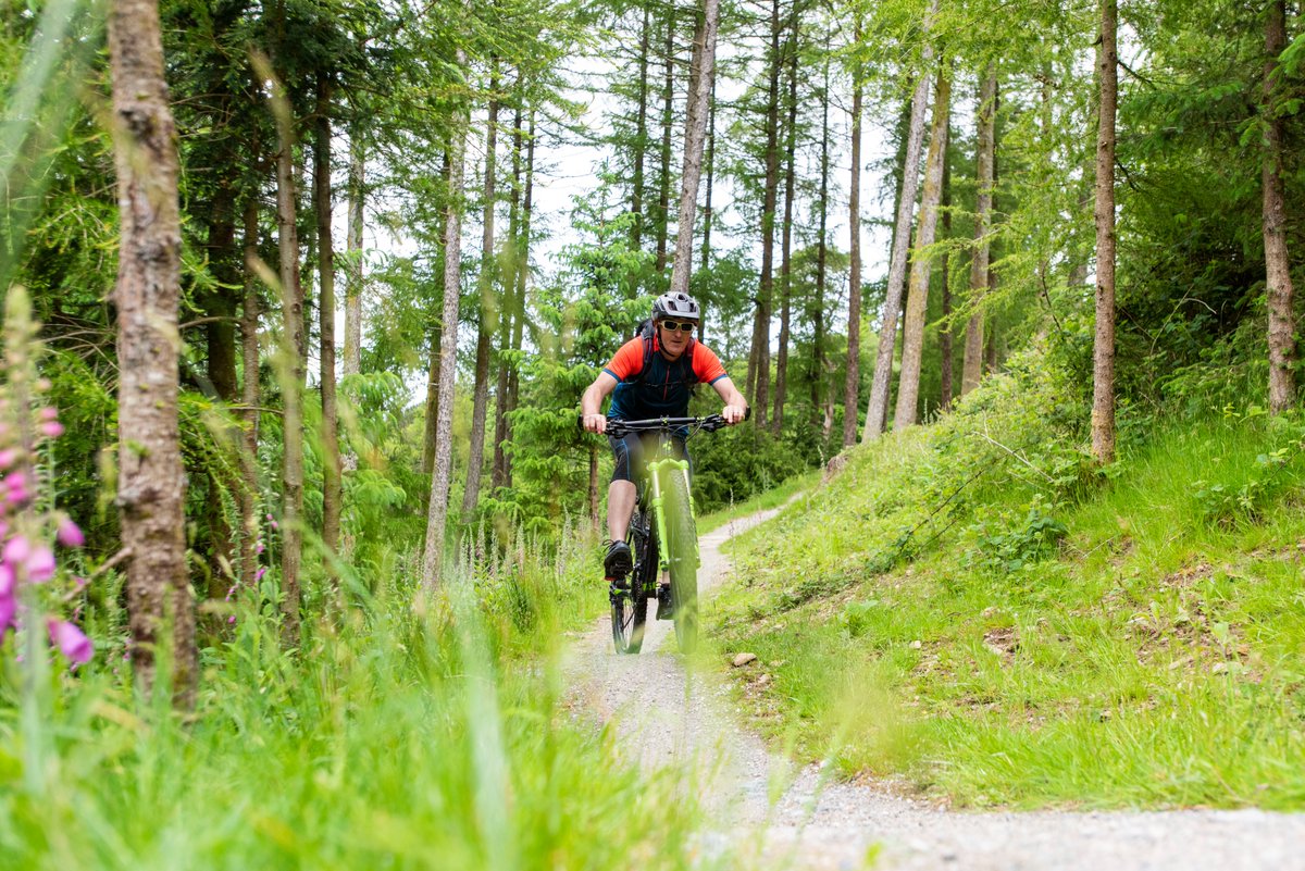 MidlandsIreland's tweet photo. ‘On yer Bike!’ It’s #BikeWeek from May 14-22, across the Midlands we've so many great events taking place - on our award-winning Greenways &amp; Blueways, our new 100km Slieve Bloom Mountain Bike Trails, &amp; so many of our towns, villages, schools &amp; communities. https://t.co/DzhtgFWbGt https://t.co/QfzXMSQWLJ