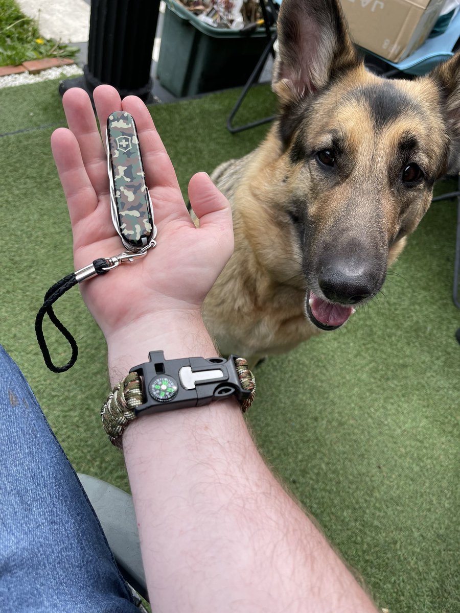 YorkshiremanYT's tweet photo. Introducing Willow My German Shepherd #gsd #germanshepherd #shorts https://t.co/uNlAGiSiZR via @YouTube https://t.co/i4Xy2a18Bj