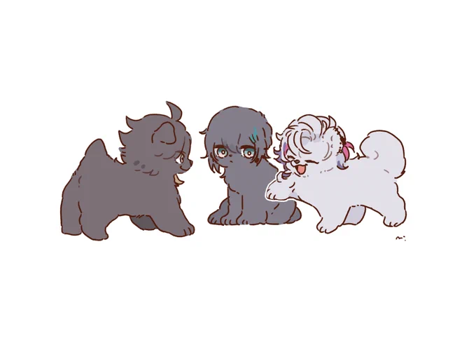 もっふぁーず 