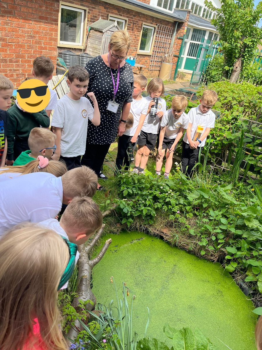 allsaintsfed's tweet photo. 3J had a quick look at the vegetables and plants that they planted on the WOW day before PE this afternoon! They are coming on really well 🌷🌱🪴 https://t.co/cjCvddkdjQ