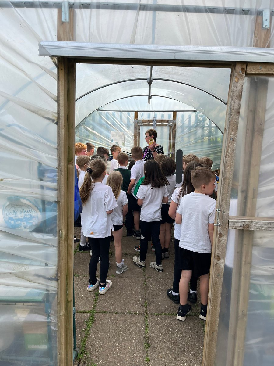 allsaintsfed's tweet photo. 3J had a quick look at the vegetables and plants that they planted on the WOW day before PE this afternoon! They are coming on really well 🌷🌱🪴 https://t.co/cjCvddkdjQ