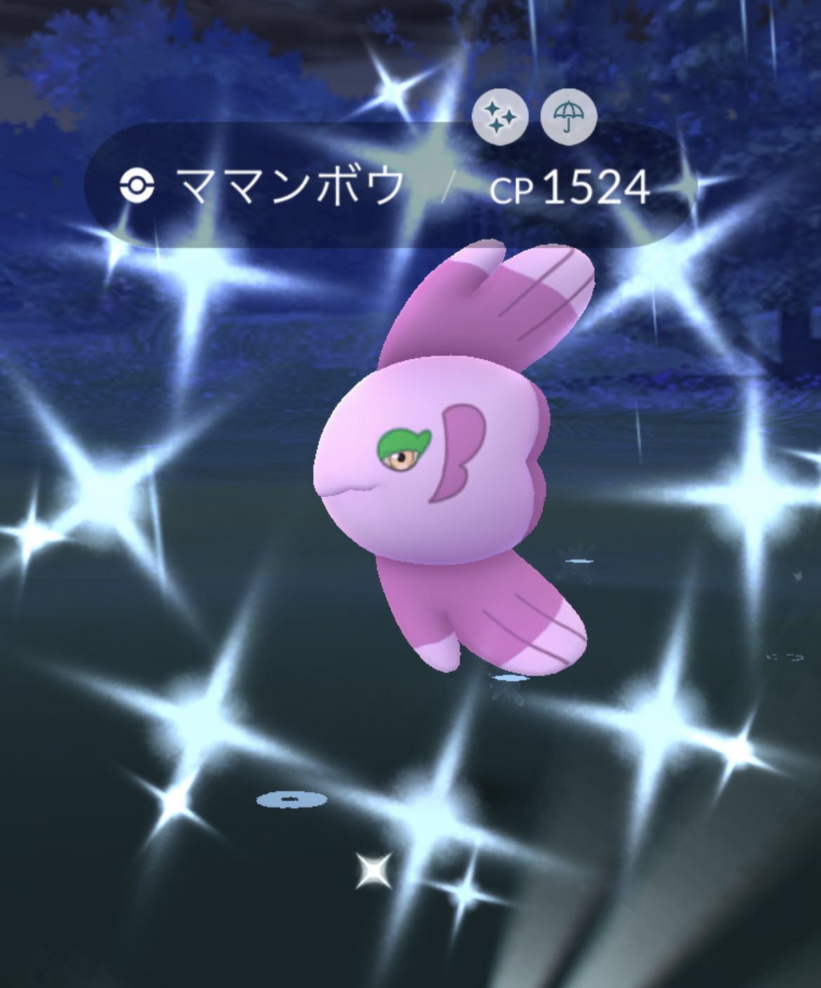 ママンボウ色違い Twitter Search Twitter