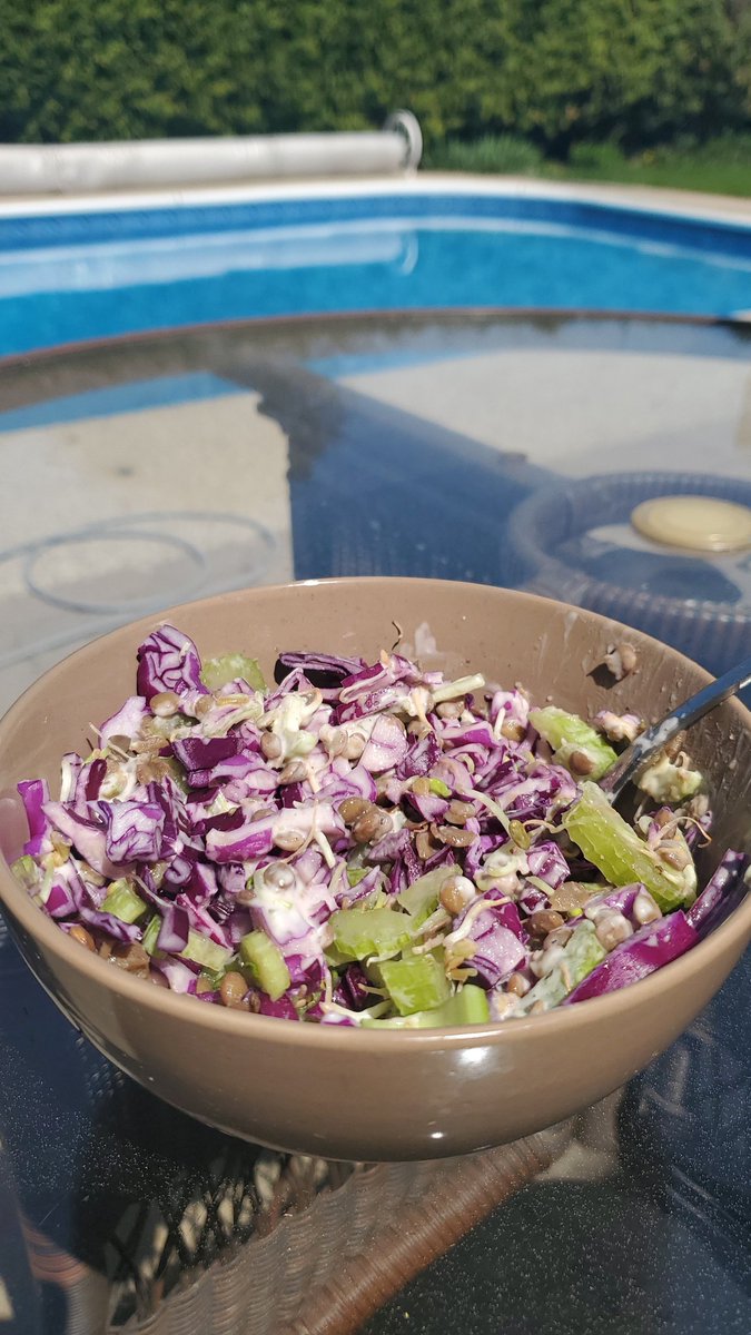 SheSprouts's tweet image. Deliciously thrown-together salad with sprouts, lentils, red cabbage, and @daiyafoods dressing. #vegan #veganfood