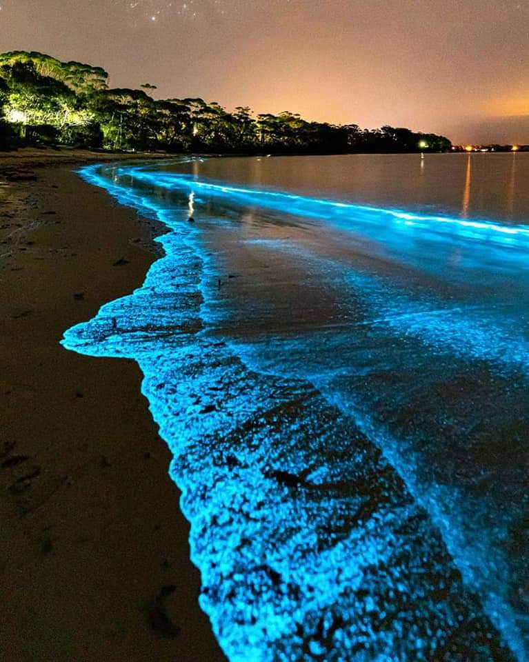 Incredible natural phenomena known as bioluminescence in Jervis Bay, Australia 😍 Learn more about Australia 👇👇👇 lovelyterra.com/43-top-rated-f…
#Australia #lovelyterra #landmarks #travelblogger #travel