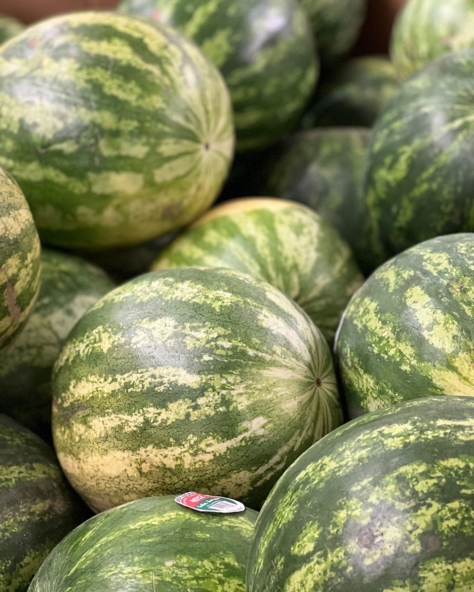 AdamsFarms's tweet photo. ⚡FLASH SALE ⚡Whole red seedless watermelon now $5.99 each.🍉 Sale valid 5/13 through 5/19. Excludes organic.

#sale #watermelon #hudsonvalley #poughkeepsie #kingstonny #newburghny #wappinger #grocerystore #fruit #freshproduce https://t.co/dyfuUPNII9