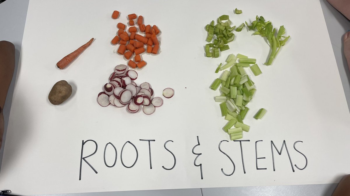 Yolanda Velazquez Martinez tweet media