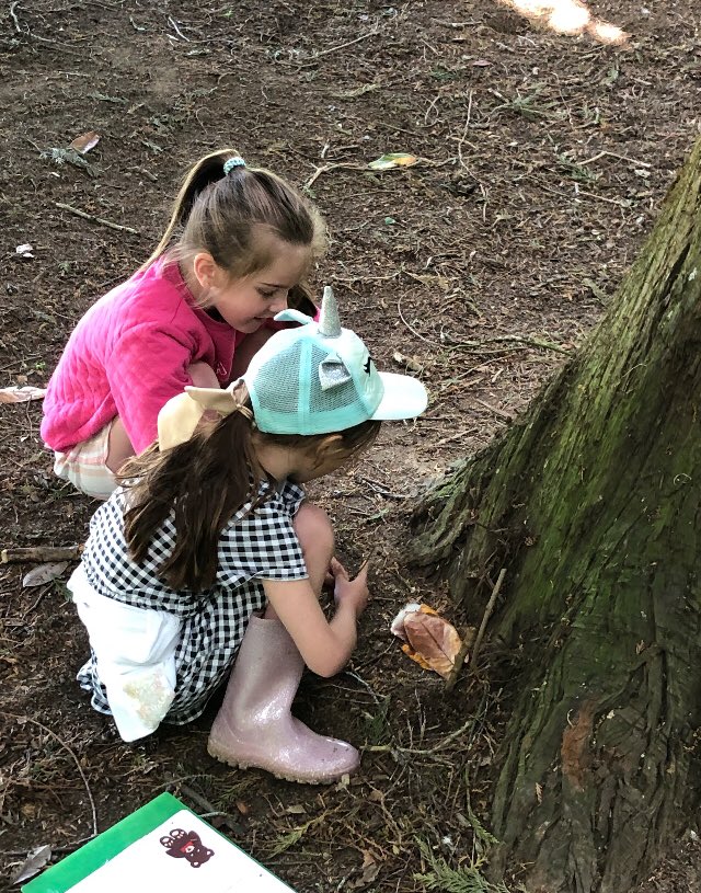 CarrdusYear1's tweet photo. Team work to create a shelter for Freddie Frog who was feeling a bit hot this afternoon during our outdoor learning day! #carrdusschool https://t.co/95y8pqAqWT