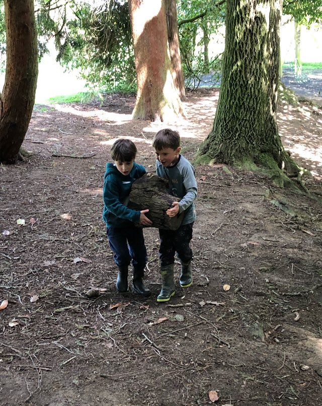 CarrdusYear1's tweet photo. Team work to create a shelter for Freddie Frog who was feeling a bit hot this afternoon during our outdoor learning day! #carrdusschool https://t.co/95y8pqAqWT