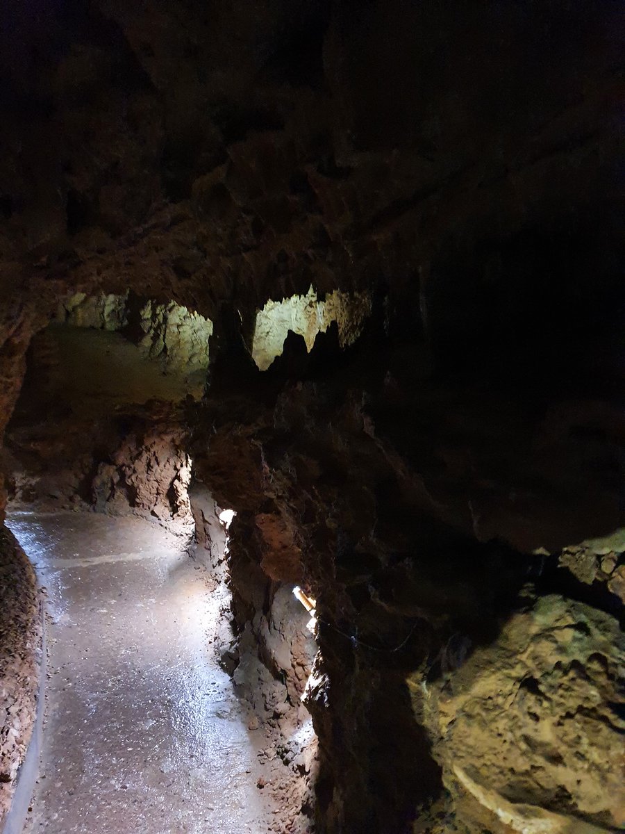 Clamouse tweet media