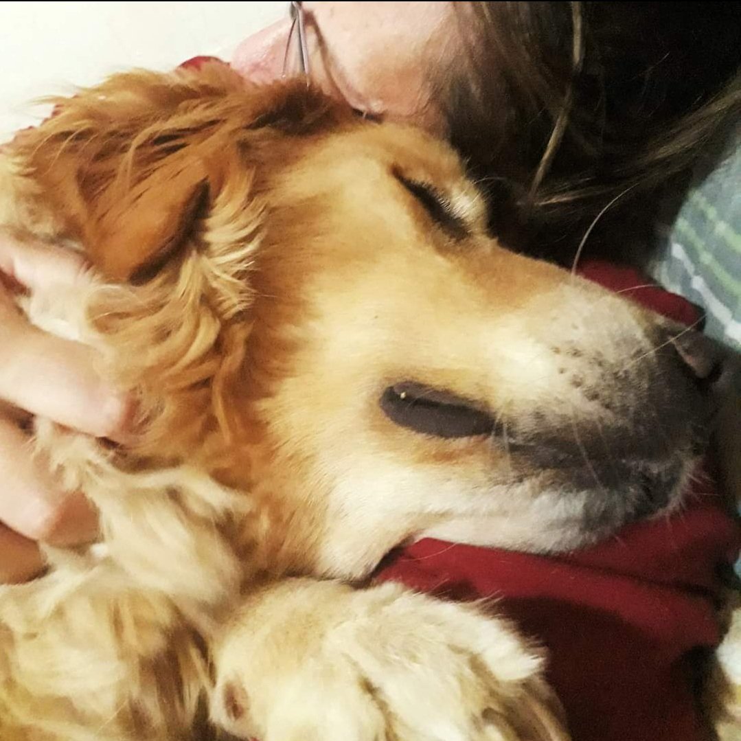 andreialvesmrt's tweet image. Minha companheira de anos ... sempre juntinho comigo ... Sou grata ao Senhor por este presente tão especial, que veio alegrar meus dias! #ThanksLord 🙏🏻❤