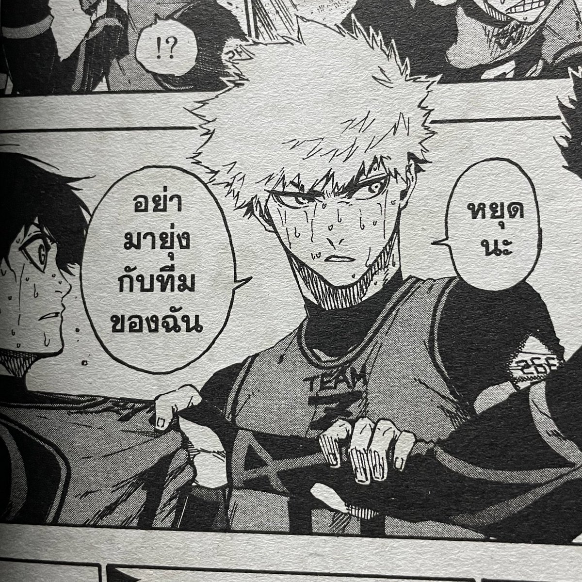 เอเนอจี้ กรุณาอย่าแตะแมวของดิฉัน 