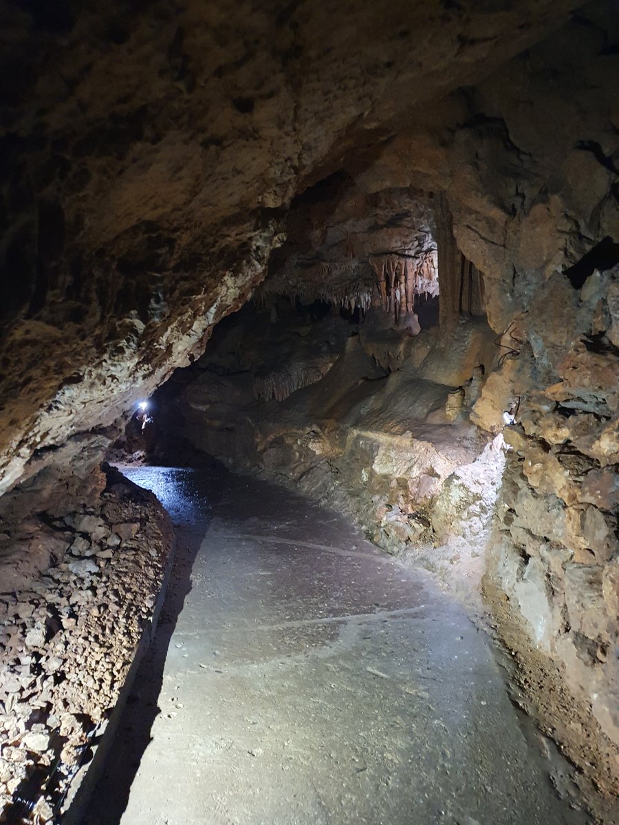 Clamouse tweet media