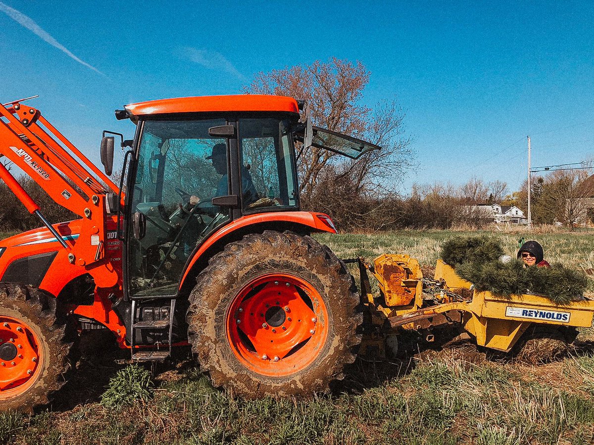 This week we planted 6000 trees on ten acres of our farm to help with our carbon offset.

#mackinnonbrothers 
#carbonoffset 
#farmersandbrewers